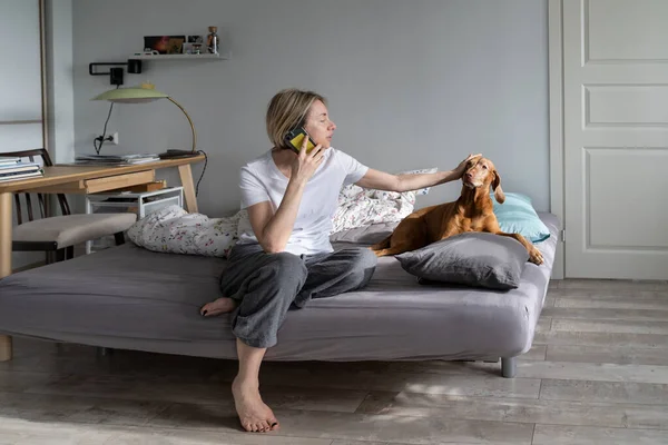 Mature Woman Talks Phone Strokes Favourite Vizsla Dog Lying Bed — Stock Photo, Image