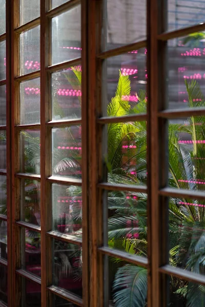 Тропические Пальмы Горшках Растут Помещении Фиолетовыми Огнями Французские Окна Передают — стоковое фото