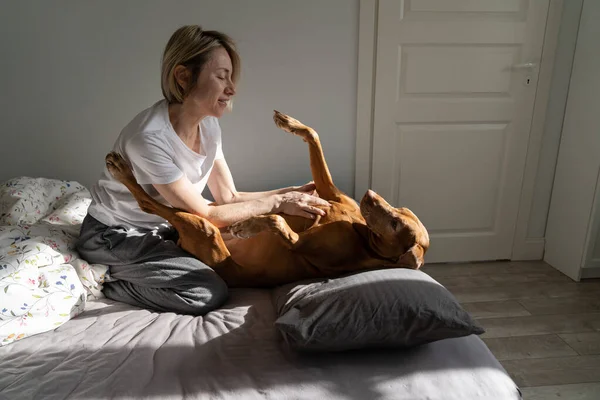 Mature woman wakes up dog on bed in living room. Blonde female enjoys playing with sleepy Vizsla dog stroking pet stomach. Smiling and unwashed woman too lazy to start difficult week day closeup
