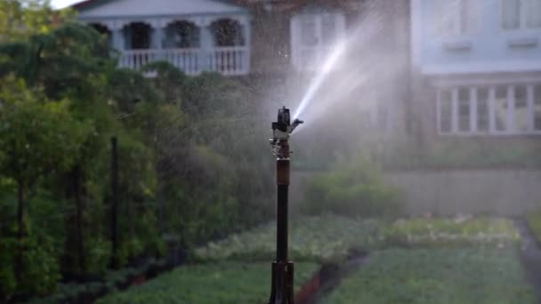 Closeup Automatic Sprinkler Systems Drip Irrigation Watering Lawns Garden Sunny — Vídeos de Stock