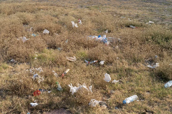 Rubbish from garbage dump spread by wind in rural area on summer day. Scattered plastic bottles and bags lie on grass in countryside causing pollution of environment. Ecological problem closeup view