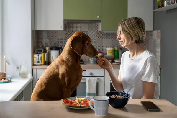 Depressed Middle Aged Woman Feeds Vizsla Dog Only Friend Sitting — Stock Photo, Image