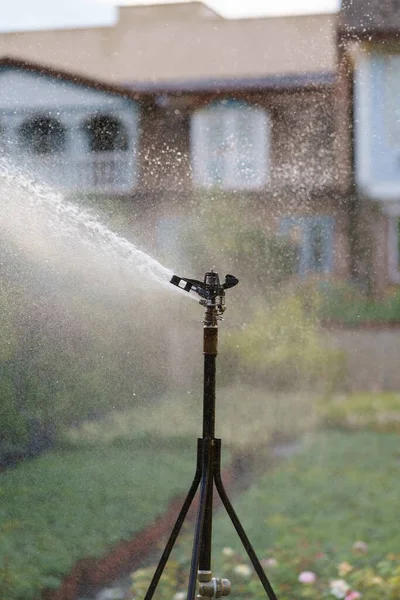 Automatic Watering System Sprays Pressurized Water Area Fresh Plants Bushes — Stock Photo, Image