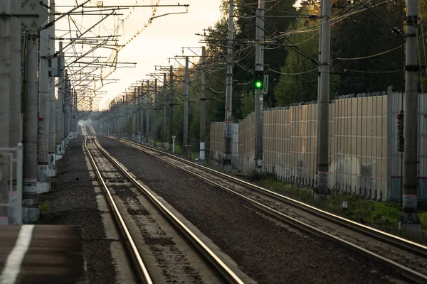 Empty railway tracks with green light semaphore at sunset, forest on background. Perspective of electrified high-speed railroad. Transportation concept.