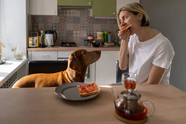Ensam Medelålders Kvinna Äter Smörgås Med Sylt Sittande Vid Bordet — Stockfoto