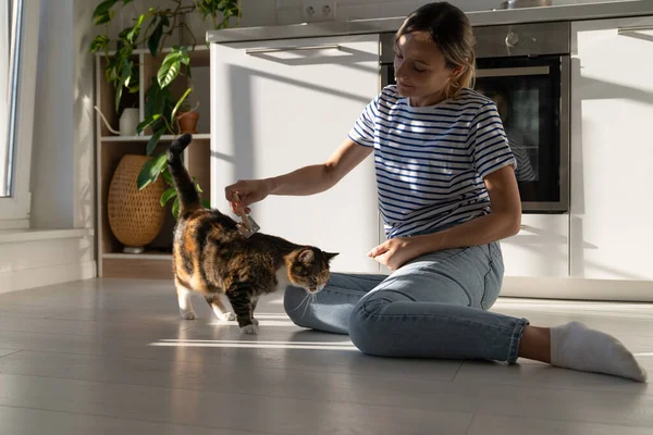 Proprietário Mulher Jovem Gosta Cuidar Gato Amado Penteá Senta Chão — Fotografia de Stock