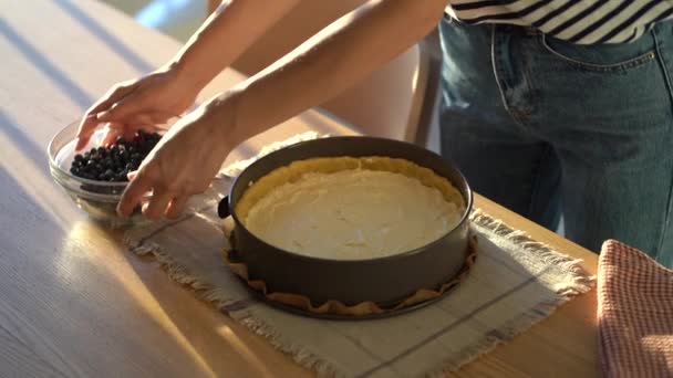 丸金型や誕生日ケーキで手作りパイを作るプロセス テーブルに来て 子供や夫を喜ばせるために甘いベースにブルーベリーを振りかける菓子の女性の手 — ストック動画