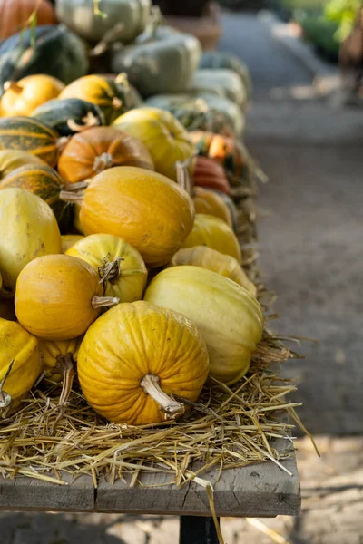 Decoração Outono Colheita Abóboras Amarelas Palha Seca Mercado Agricultores Livre — Fotografia de Stock