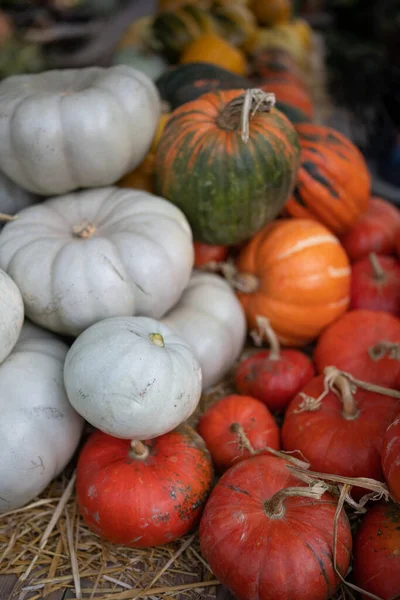 Decoração Outono Colheita Abóboras Coloridas Palha Seca Mercado Agricultores Livre — Fotografia de Stock