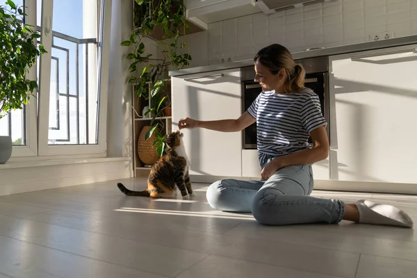 Mujer Blanca Buen Carácter Juega Con Gatito Tiene Buen Tiempo — Foto de Stock