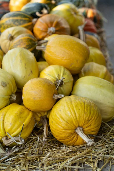 Decoração Outono Colheita Abóboras Amarelas Palha Seca Mercado Agricultores Livre — Fotografia de Stock