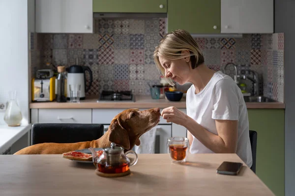 Casual Middle Aged Woman Having Breakfast Kitchen Table Treat Dog — Stock Photo, Image