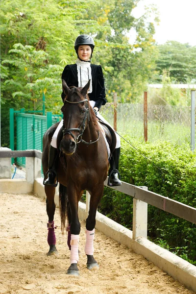 Young 20S Asian Woman Horse Riding Suit Beautiful Animal Outdoors — Stock Photo, Image