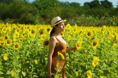 Asya 'lı 40' lı yaşlardaki LGBT transseksüelleri, mavi gökyüzü dağının üzerindeki ayçiçeği sarı çiçek tarlasında neşeli gülüşler hissediyorlar. Açık havada moda çekimi için kadın pozları.