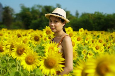 Asya 'lı 40' lı yaşlardaki LGBT transseksüelleri, mavi gökyüzü dağının üzerindeki ayçiçeği sarı çiçek tarlasında neşeli gülüşler hissediyorlar. Açık havada moda çekimi için kadın pozları.