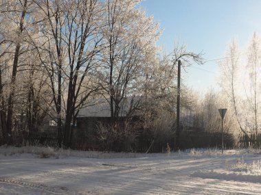 Soğuk bir kış sabahı. Terk edilmiş eski bir ev. Rus ahşap geleneksel evi. Ağaç donuyla kaplı. Kış. Rusya, Ural, Perm bölgesi. Elovo.