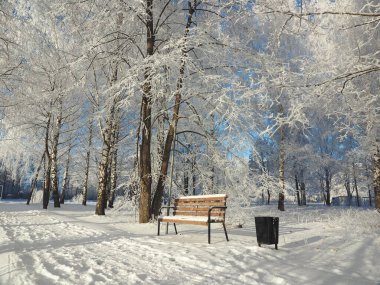 Soğuk bir kış sabahı. Park, sokak, dükkan, fener. Ağaç donuyla kaplı. Kış. Rusya, Ural, Perm bölgesi. Elovo.