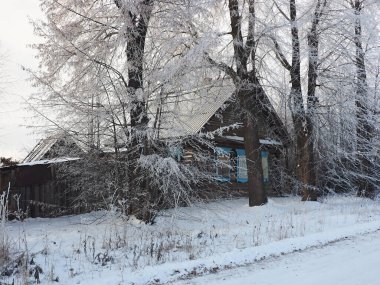 Soğuk bir kış sabahı. Terk edilmiş eski bir ev. Rus ahşap geleneksel evi. Ağaç donuyla kaplı. Kış. Rusya, Ural, Perm bölgesi. Elovo.