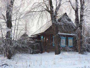 Soğuk bir kış sabahı. Terk edilmiş eski bir ev. Rus ahşap geleneksel evi. Ağaç donuyla kaplı. Kış. Rusya, Ural, Perm bölgesi. Elovo.