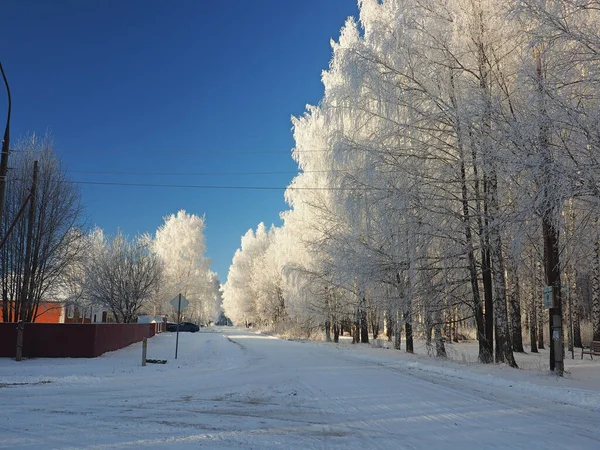 Vinterfrostig Morgon Parkera Gränden Träd Täckta Med Hjorfrost Filialer Mot — Stockfoto