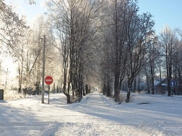 Ein Frostiger Wintermorgen Park Gasse Bäume Mit Raureif Bedeckt Äste — Stockfoto