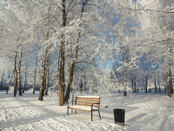 One winter frosty morning. Park, alley, shop, lantern. Trees covered with hoarfrost. Winter. Russia, Ural, Perm region. Elovo
