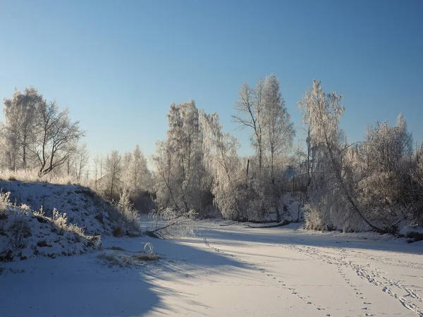 Vinterfrostig Morgon Kustgräs Och Träd Täckta Hjorfrost Liten Flodvik Var — Stockfoto