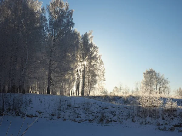 Eräänä Talvipakkasaamuna Puisto Puut Ovat Pakkasen Peitossa Talvella Venäjä Uralin — kuvapankkivalokuva