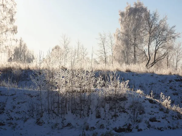 One Winter Frosty Morning Park Trees Covered Hoarfrost Winter Russia — стоковое фото