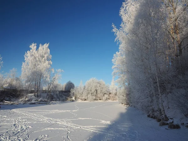 Een Ijzige Winterochtend Kustgras Bomen Bedekt Met Vorst Een Kleine — Stockfoto