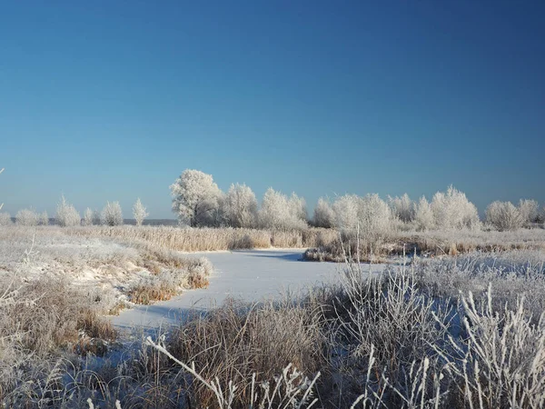 一个寒冷的冬天早晨 海岸上的树和霜冻中的草 一个小河湾被冰覆盖着 俄罗斯 乌拉尔 彼尔姆地区埃洛沃 — 图库照片