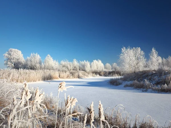 一个寒冷的冬天早晨 海岸上的树和霜冻中的草 一个小河湾被冰覆盖着 俄罗斯 乌拉尔 彼尔姆地区埃洛沃 — 图库照片