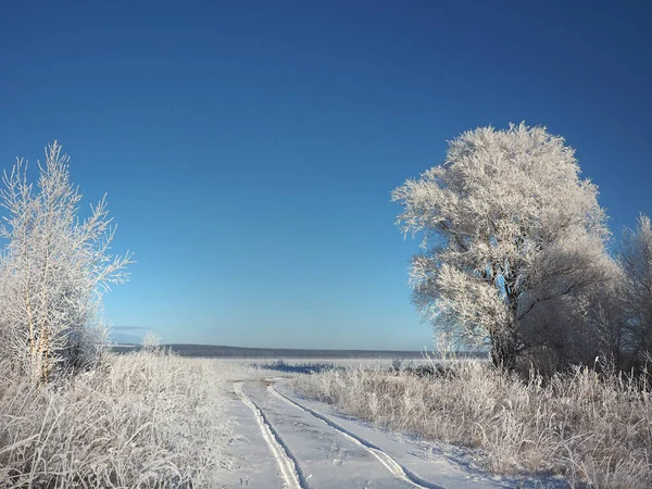 One Winter Frosty Morning Trees Shore Grass Hoarfrost River Covered — Stock Photo, Image