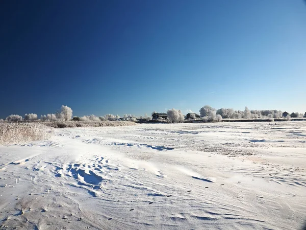 ある冬の霜の朝 海岸草や樹木が霜で覆われています 川の湾は氷で覆われていた ウッドだ ロシアウラルペルミ地方 エロヴォ — ストック写真