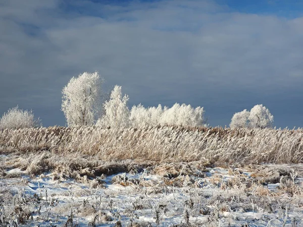一个寒冷的冬天早晨 海岸上的树和霜冻中的草 河水被冰覆盖着 俄罗斯 乌拉尔 彼尔姆地区埃洛沃 — 图库照片