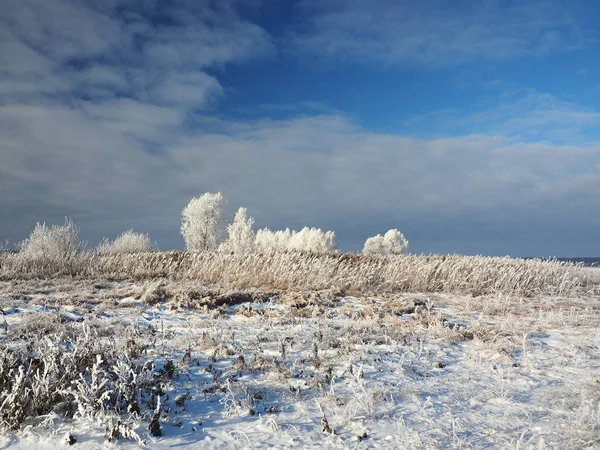 一个寒冷的冬天早晨 海岸上的树和霜冻中的草 小径上覆盖着雪 俄罗斯 乌拉尔 彼尔姆地区埃洛沃 — 图库照片