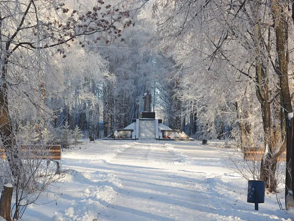 Uma Manhã Gelada Inverno Park Monumento Grande Guerra Patriótica Segunda Imagens Royalty-Free