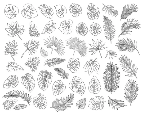 Set Tropischer Blätter Mit Kontur Auf Weißem Hintergrund — Stockvektor
