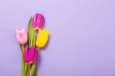 menekşe kağıt arkaplanda laleler