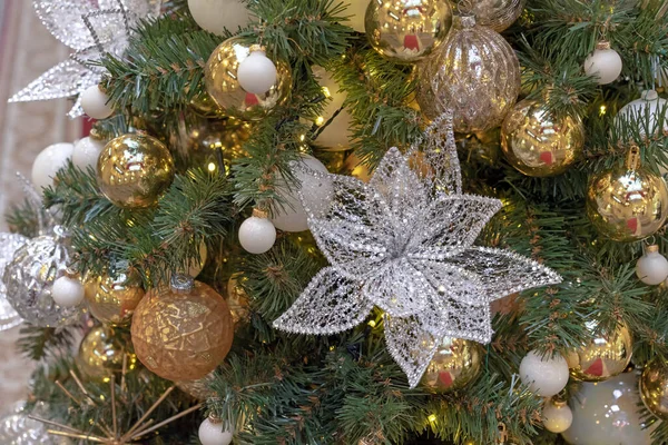 グラスポインセチアの花とクリスマスツリー上の黄色のクリスマスボール ロイヤリティフリーのストック写真