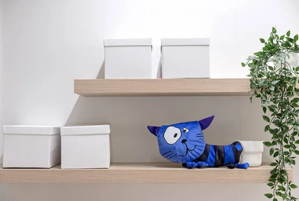 Měkká Modrá Kočka Skladovací Boxy Dřevěné Polici — Stock fotografie