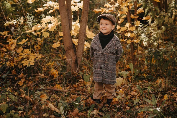 Un niño feliz en un abrigo de otoño camina en un parque amarillo de otoño. —  Fotos de Stock