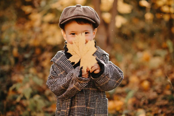 Un niño feliz está jugando con una hoja de arce amarillo en la temporada de otoño en el parque. —  Fotos de Stock