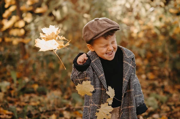 Šťastný chlapeček si hraje se žlutými listy ve zlaté podzimní sezóně v parku. — Stock fotografie