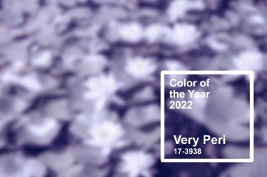 Pantone 'un 2022' deki rengi çok Peri. Doğal bitki ve çiçek arkaplanı.