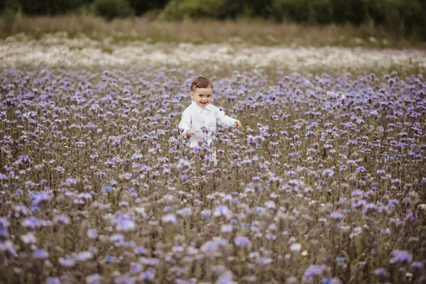 Glad leende pojke har en bra tid inom området blommor — Stockfoto