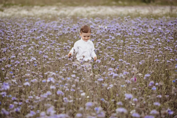 Glad leende pojke har en bra tid inom området blommor — Stockfoto