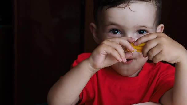 Sebuah video di mana seorang anak kecil memegang plastisin berwarna di tangannya. — Stok Video