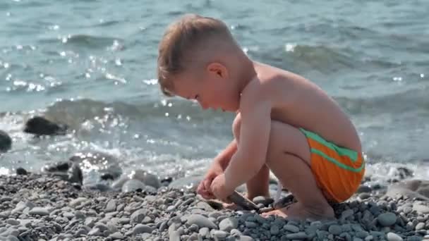Söt pojke leker på stranden med stenar och småsten. Grabben har det bra på familjesemester. Långsam rörelse video — Stockvideo