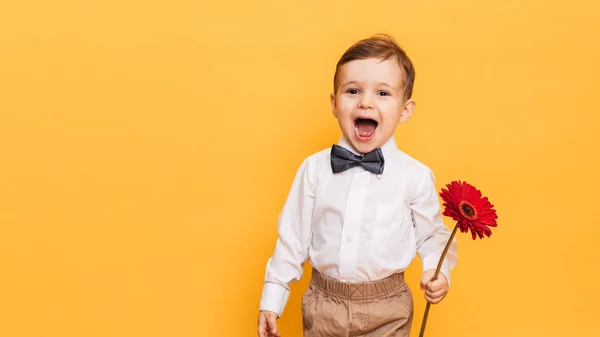 Um menino de camisa branca, calças e gravata borboleta em um fundo amarelo segura uma flor de gerbera em suas mãos. Um presente para a minha mãe, avó. Com espaço para o seu texto. — Fotografia de Stock